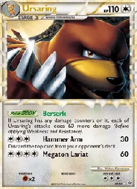Ursaring 89