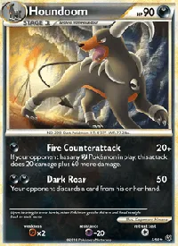 Houndoom 5