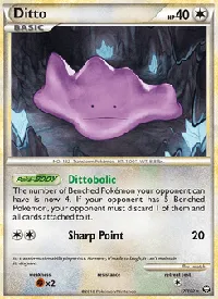 Ditto 17
