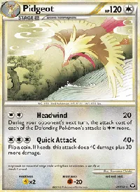 Pidgeot 29