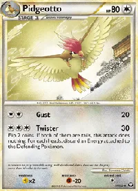 Pidgeotto 47
