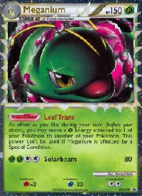 Meganium HGSS08