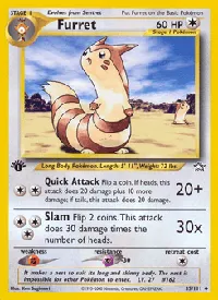 Furret 35