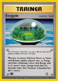 Ecogym 84