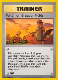 Pokémon Breeder Fields 62