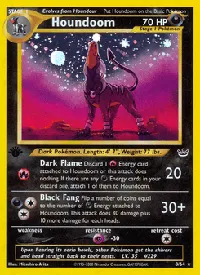 Houndoom 8
