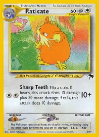 Raticate 6