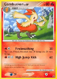 Combusken 45