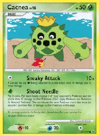 Cacnea 67