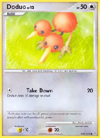 Doduo 102