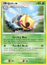 Ninjask 73