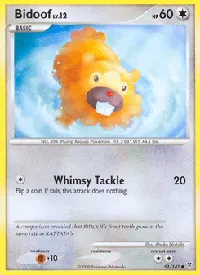 Bidoof 91