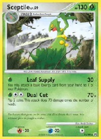 Sceptile 31