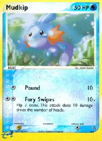 Mudkip 10
