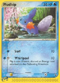 Mudkip 18