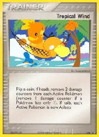 Tropical Wind 26
