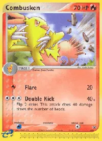 Combusken 9