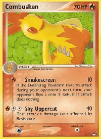 Combusken 6