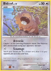 Bidoof 11