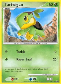 Turtwig 17