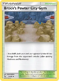 Brock’s Pewter City Gym 54
