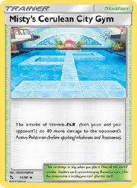 Misty’s Cerulean City Gym 61