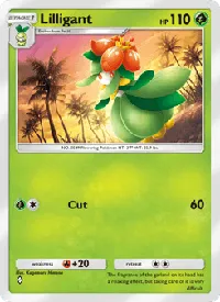 Lilligant 002