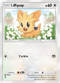 Lillipup 054