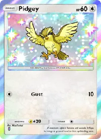 Pidgey 095