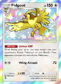 Pidgeot 097