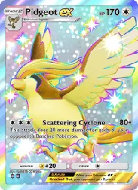 Pidgeot ex 102
