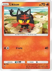Litten 011