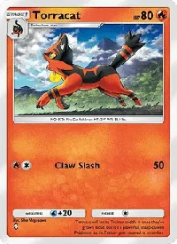 Torracat 012