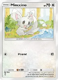 Minccino 062