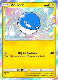 Voltorb - Eevee Grove