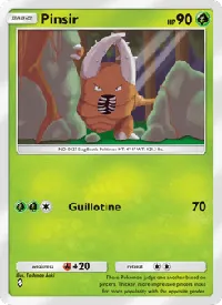 Pinsir 007