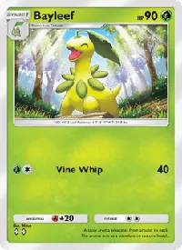 Bayleef 009