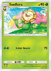Sunflora 017