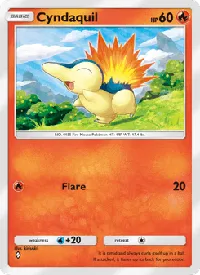 Cyndaquil 027