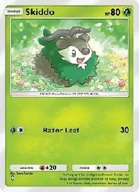 Skiddo 021