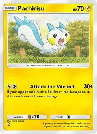 Pachirisu 089