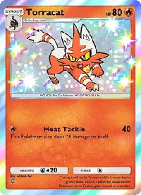 Torracat - Mega Rising