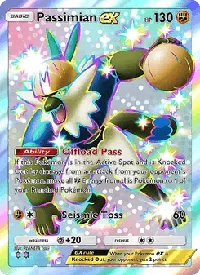 Passimian ex 324