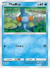 Mudkip - Parata Fantasmagorica