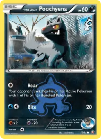 Team Aqua's Poochyena 16