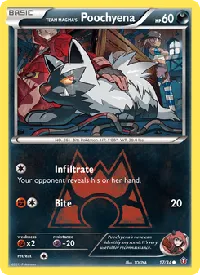 Team Magma's Poochyena 17