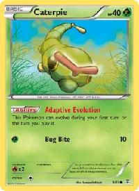 Caterpie 3
