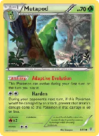 Metapod - Generazioni