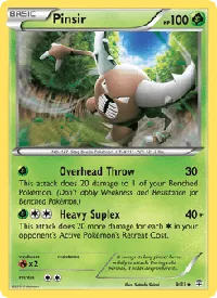 Pinsir 9