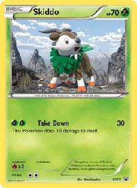 Skiddo XY11